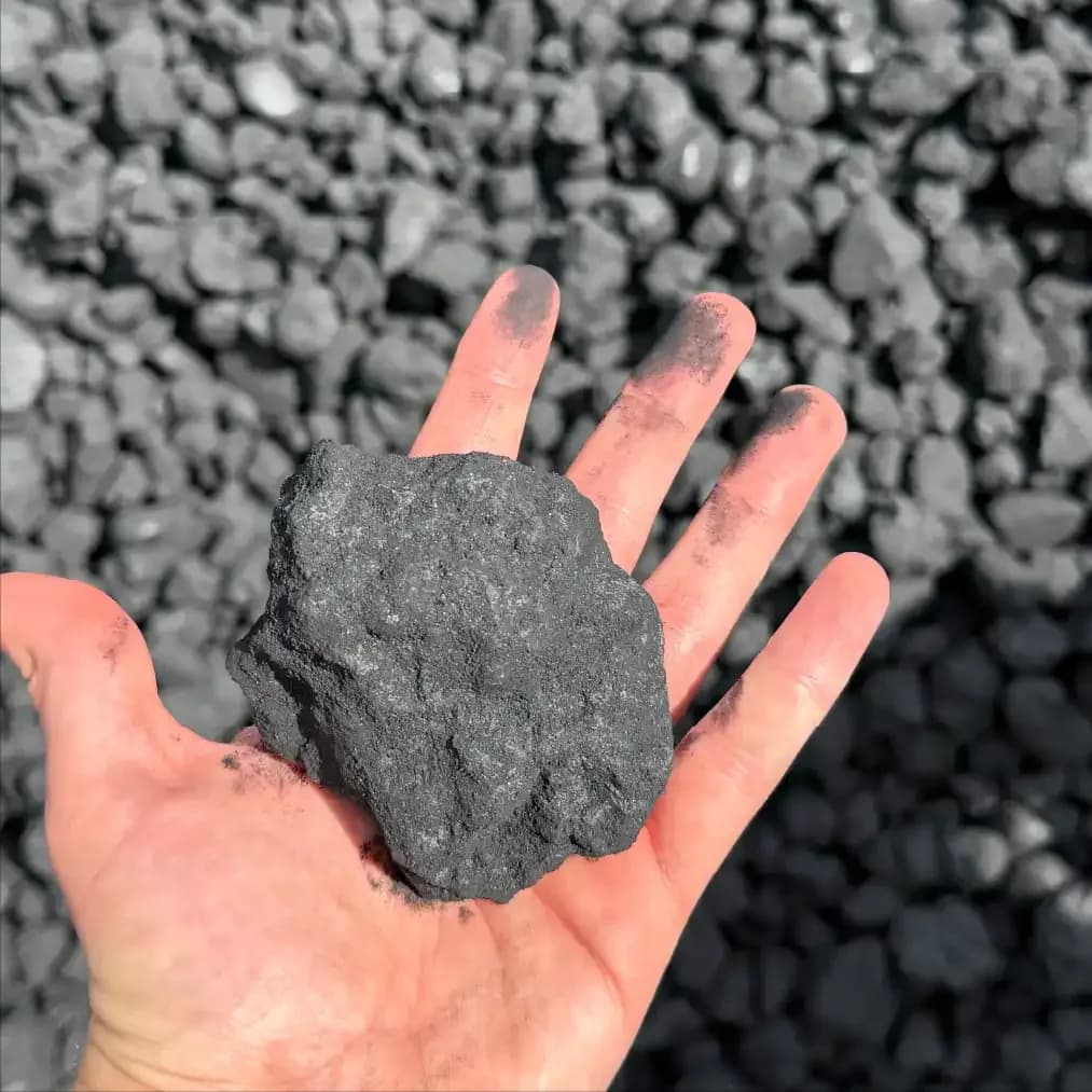 Sized (Screened) Petroleum Coke